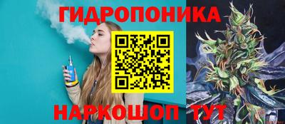 гидропоника Тверь