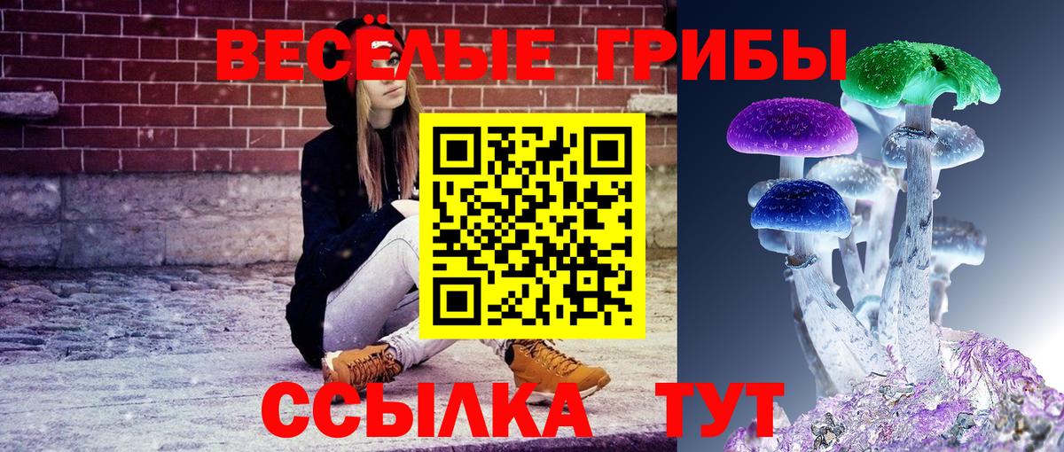 Псилоцибиновые грибы GOLDEN TEACHER Новошахтинск