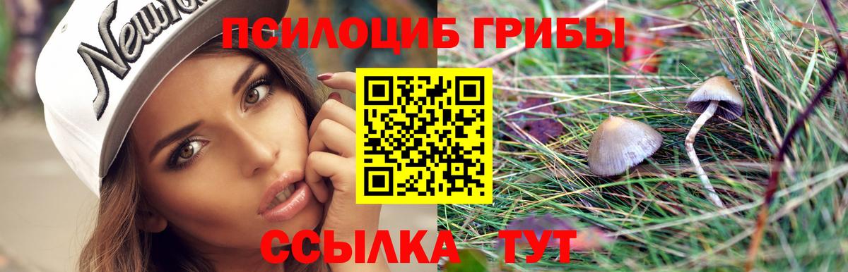 Галлюциногенные грибы Cubensis  Псилоцибиновые грибы Psilocybine cubensis  Вход с VPN  Новошахтинск 